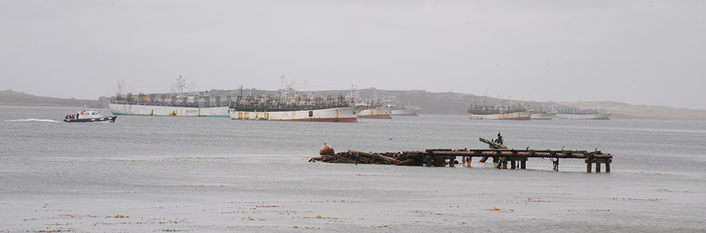 COMMERCIAL FISHING, jiggers in Stanley harbour